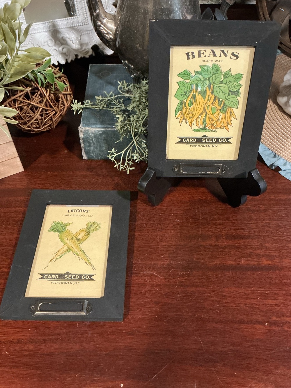 Framed 1920's SEED Packets - Antique Lithographed Seed Packs; Card Seed Co